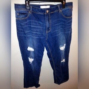 Cato Distressed Jeans Size 16